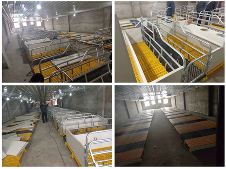 Pig Slat Plastic Slat Floor Other Animal Husbandry Equipment
