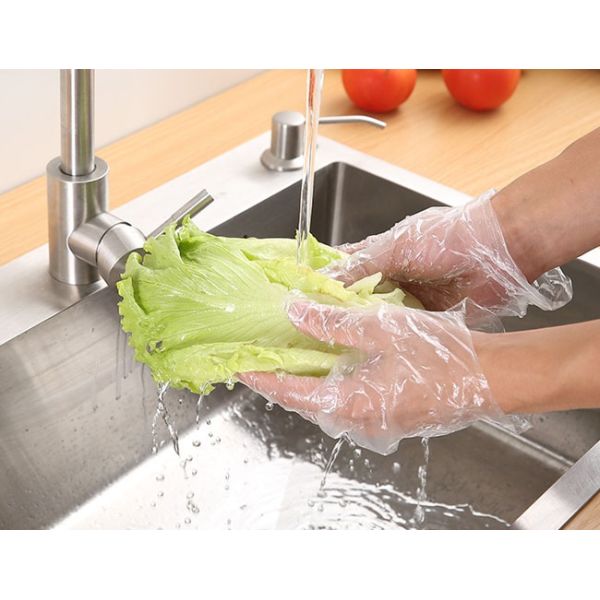 Multifunction Eco Friendly Disposable Gloves , Powder Free PE Disposable Gloves