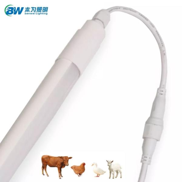 CRI 90 LED Poultry Lighting with 140lm/w Aluminum IP67 Waterproof 0-10V Dimmable AC85-265V
