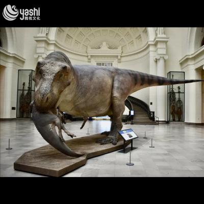 Animated Authentic Tyrannosaurus Rex Sculpture for Dinosaur Park Custom