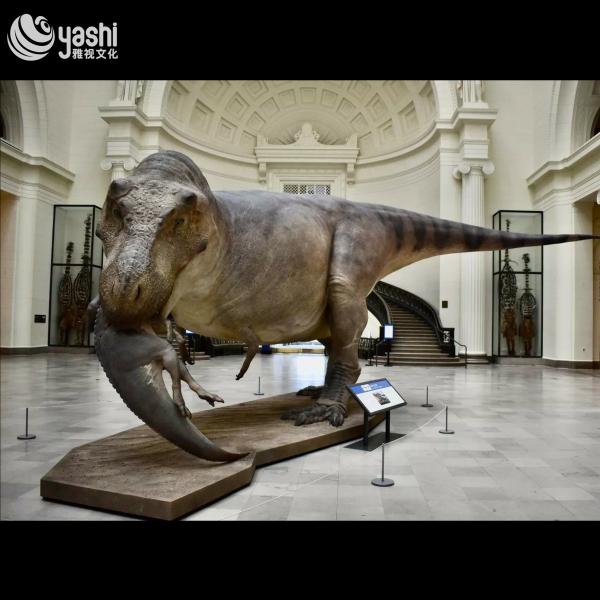Animated Authentic Tyrannosaurus Rex Sculpture for Dinosaur Park Custom