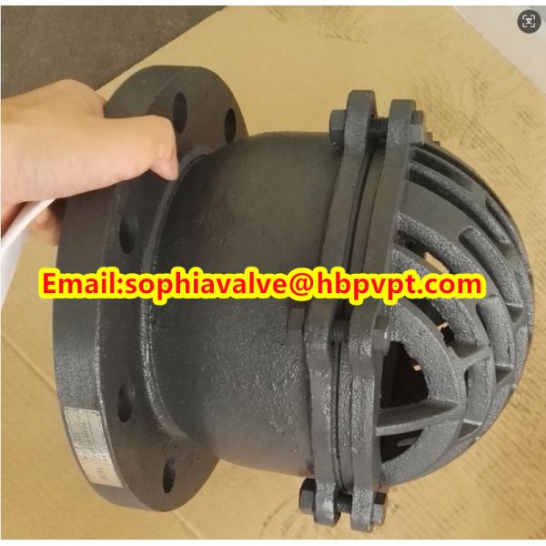 seat EPDM PN10/PN16 flanged foot valve