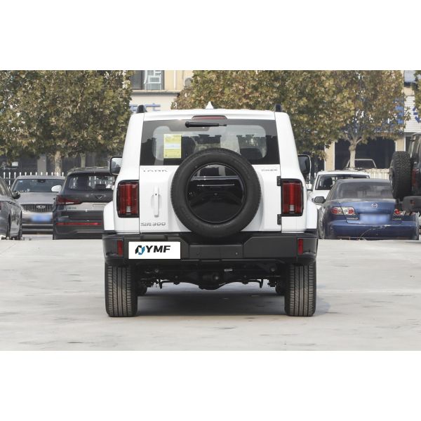 Electric Steering System Tank 300 Jeep SUV for Full Size SUV 2023 Great Wall Compact