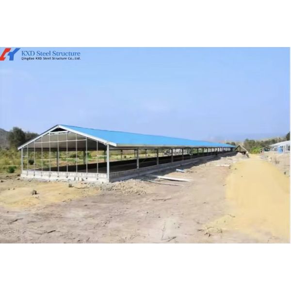 Hot-Dip Galvanized Custom Size Anti-Corrosion Steel Poultry House for Livestock Cow Shelter