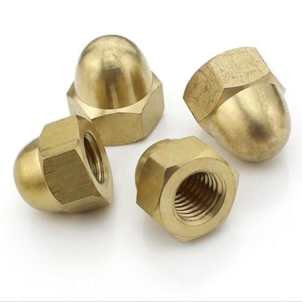 Decorative Brass Cap Stainless Steel Nuts Gr5 M3-M20 ODM For Mining Equipment