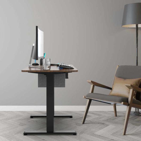 Height Adjustable Electric Standing Desk 48x24 Inch Electric Stand Up Table