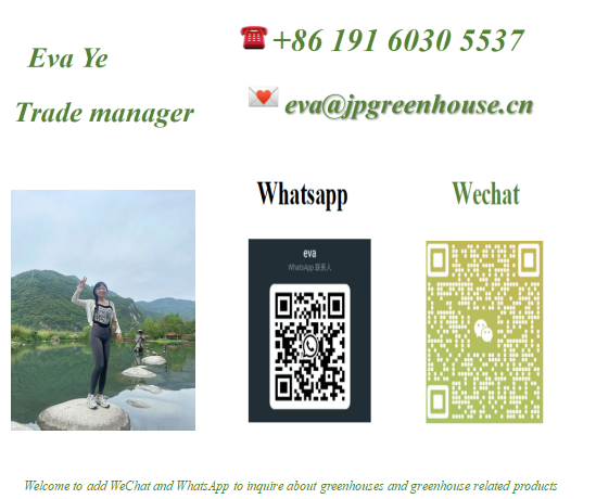 Agricultural Galvanized Tunnel Greenhouse Plastic Tomato Greenhouse With Bolt Connection