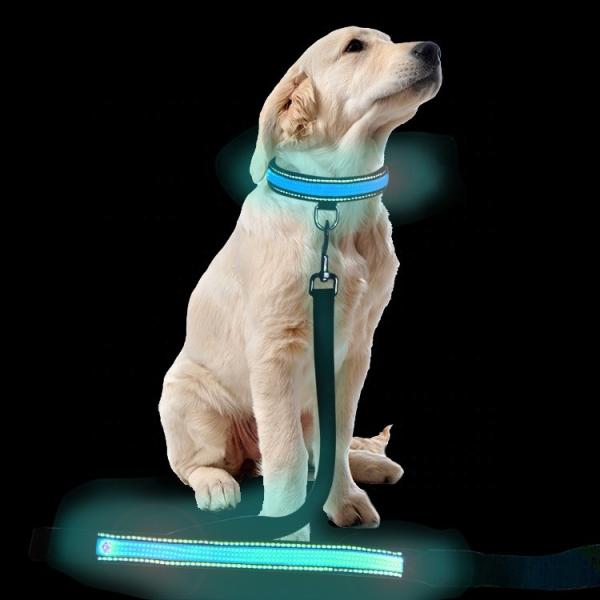 LED Dog USB Rechargeable Collars And Leashes Pet Product Waterproof Flashing