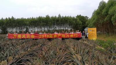 arrange the fruits delegation to specific fruits plantation for study