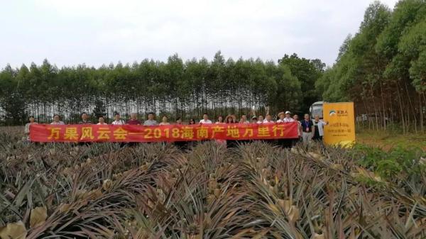 arrange the fruits delegation to specific fruits plantation for study
