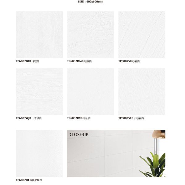 фарфор тела толщины 60x120cm 10mm полный кроет белый Bathroom черепицей 600x600mm Matt