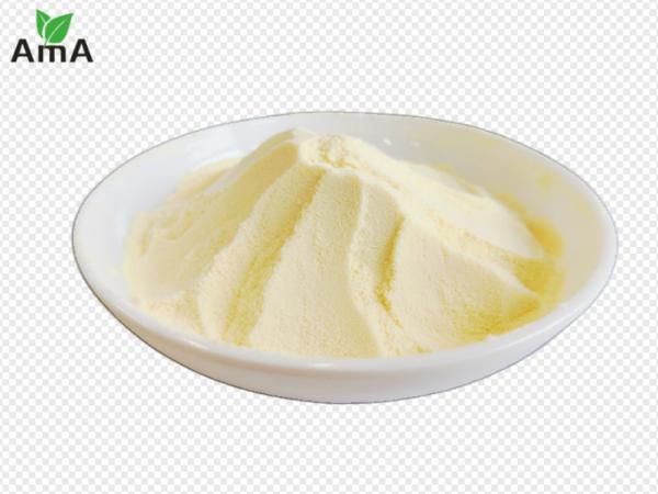Material enzimático do processo do adubo orgânico do ácido aminado de 80% para o vegetal do jardim