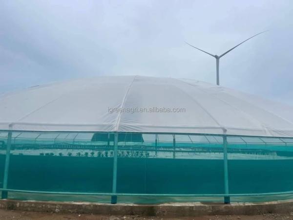 Galvanized Steel Pipe Circular RAS Fish Tank 10 Meter Fresh Water Automatic Feeding