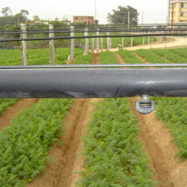 360° Screw Sprinkler for Quick Connect Connection and Garden Farm Irrigation Solution