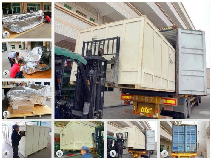 Печатная машина ткани EcooGraphix автоматическая цифров струйная