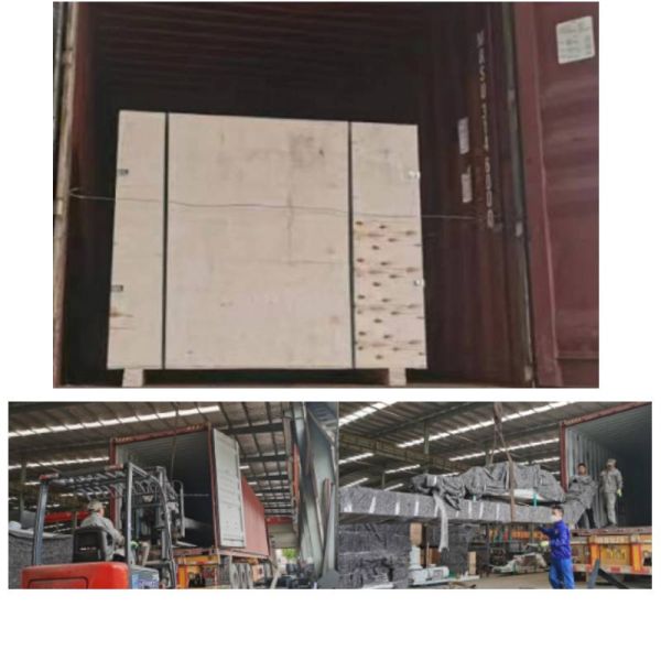 лепешка питания любимца рыб 50-5000kg/H сопя делая завод для рекламы