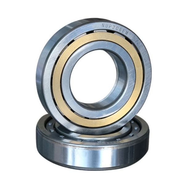 Nup Cylindrical Roller Bearing Gcr15 NUP220 Single Row Nup205 Bearing NUP200 Series