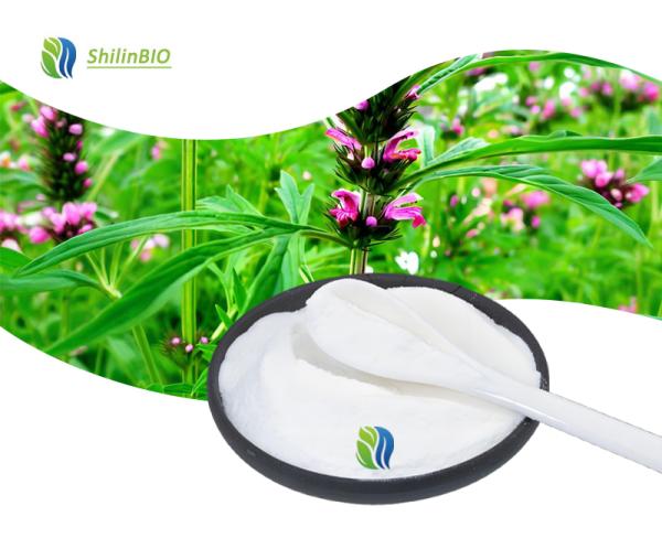 Motherwort Herb Extract Stachydrine Hydrochloride 
