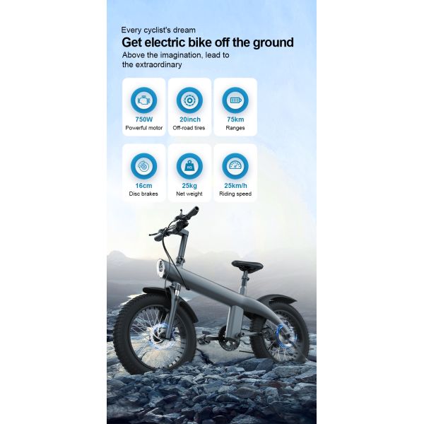 20 Inch Foldable 4.0 Fat Tire Ebike 48V 1000W Folding Electric Mountain Bike 750w