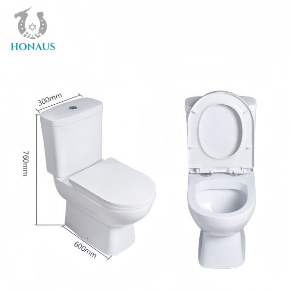 Elegant Bathroom Two Piece Toilet Bowl Floor Mounted Factory Sale Best Ceramic