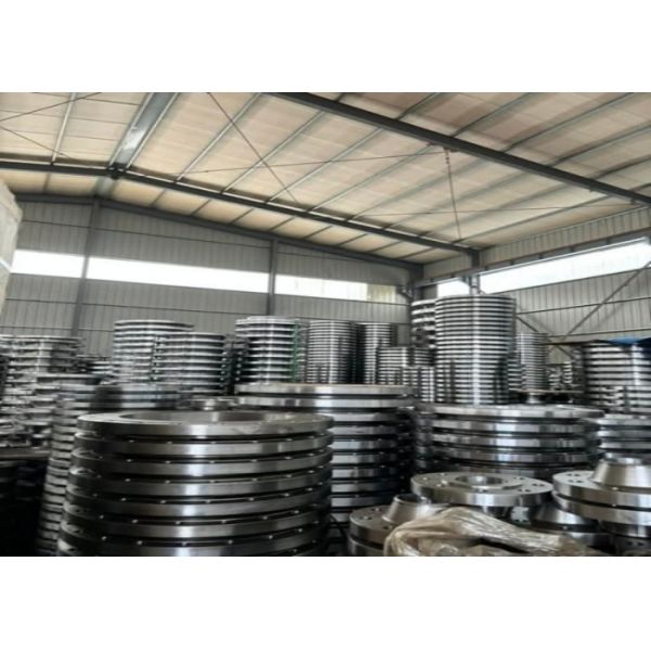GOST Standard Steel Flanges Customized Cast Steel/WCB/WC6/stainless Steel Body