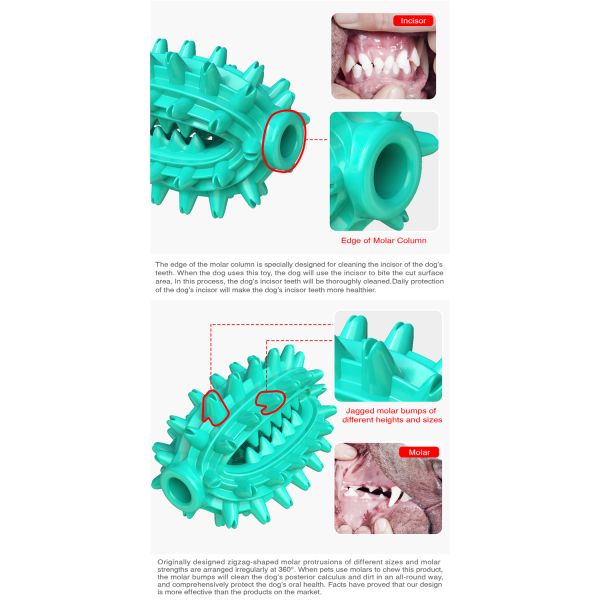 Clean Teeth Leaking Molar Dog Toothbrush Pet Toy Bite Resistant Dog Toy Ball
