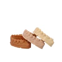 3D dentales que imprimen las coronas temporales alisan la corona temporal de la resina