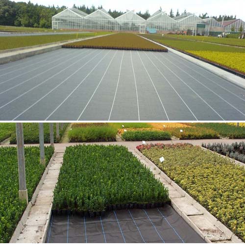 Green , Black , White Woven Geotextile Fabric Made From Virgin PET ( Polyster ) Chips