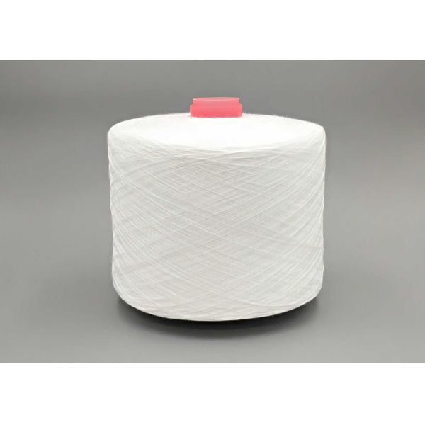 30S/2 Ring Spun Polyester Industrial Yarn For Clothes And Industrial Sewing