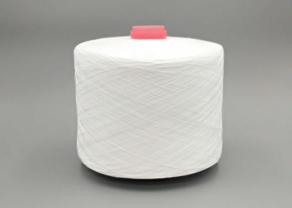 30S/2 Ring Spun Polyester Industrial Yarn For Clothes And Industrial Sewing Thread