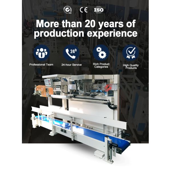 Versatile Weighing Range 5-10 kg Flour Packing Machine for Food Industry