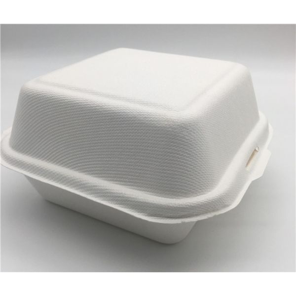 Bento   6x6 Inch 21g  Biodegradable Boxes For Food