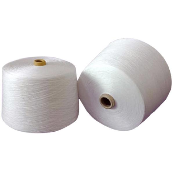 20/3 30/2 40/2 100% Ring Spun Polyester Yarn Raw White Polyester Twisted Yarn Price