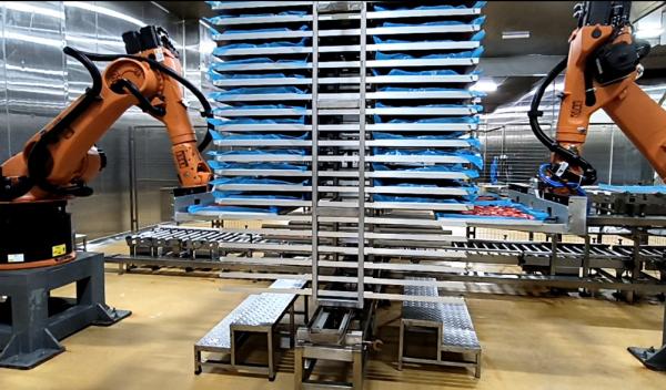 パレタイジングマシン KUKA KR60 シーリング 包装用ソリューション