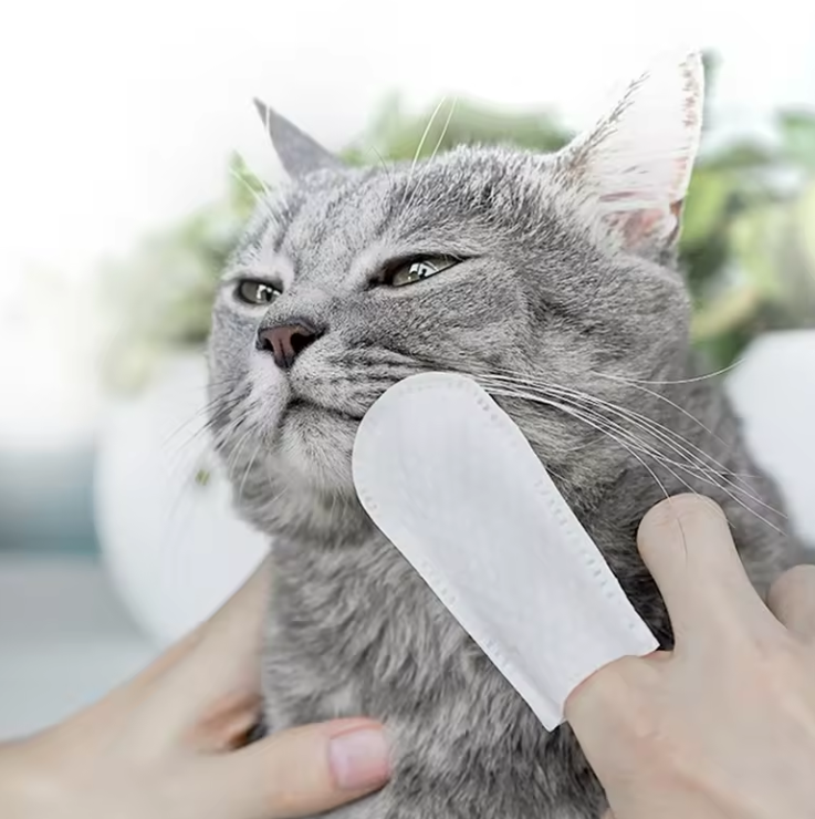 Clean Function Teeth Cleaning Wipes for Gentle Gum Care Disposable Dog Finger Toothbrush