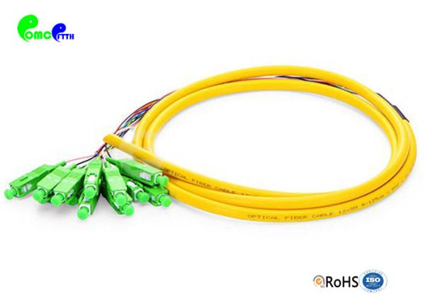 12F SC APC Pre - terminated  Pigtail SM 12F  Fiber Optic Pigtail OS2 G657A1 LSZH Jacket Breakout 0.9mm tail