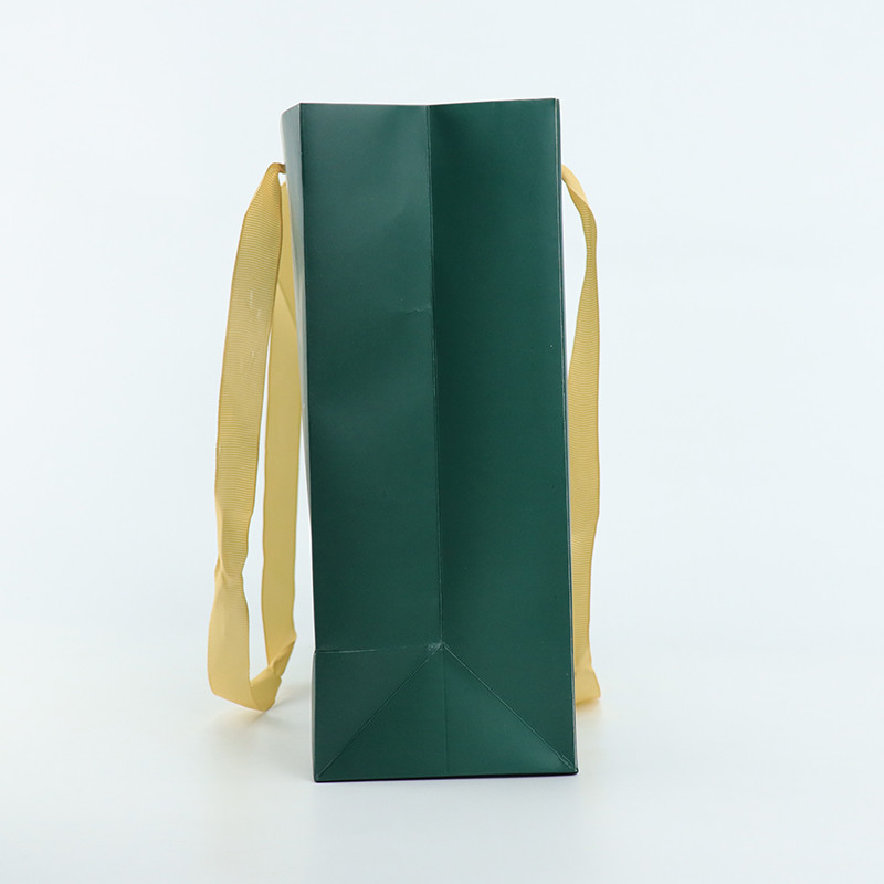 210gsm покрыло напечатанное слоение роскошных бумажных мешков лоснистое для покупок