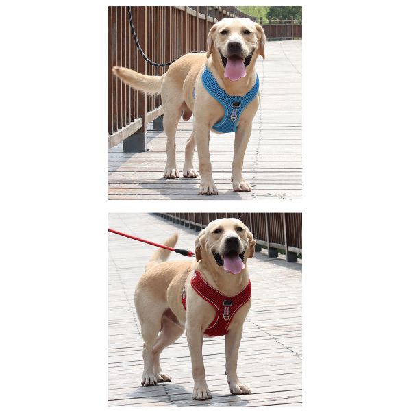 Проводка собаки проводки жилета любимца сини младенца реверзибельная персонализированная