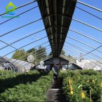 Medico Crescimento apagão Luz Dep Green House 9X32M Túnel Greenhouse