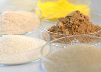 Enzima de lavagem da lipase biodiesel aplicável a produtos de lavagem e descontaminação