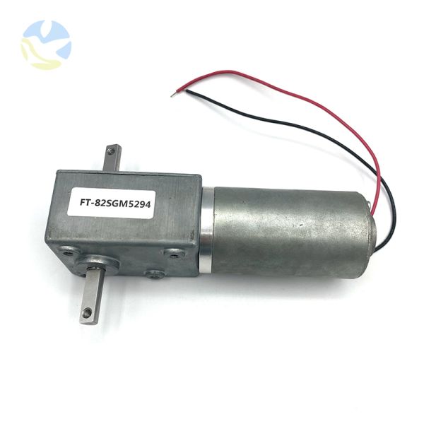 Custom FT-82SGM5294 Dual Output Shaft High Torque High Power DC Worm Gear Brushless Electric Motor