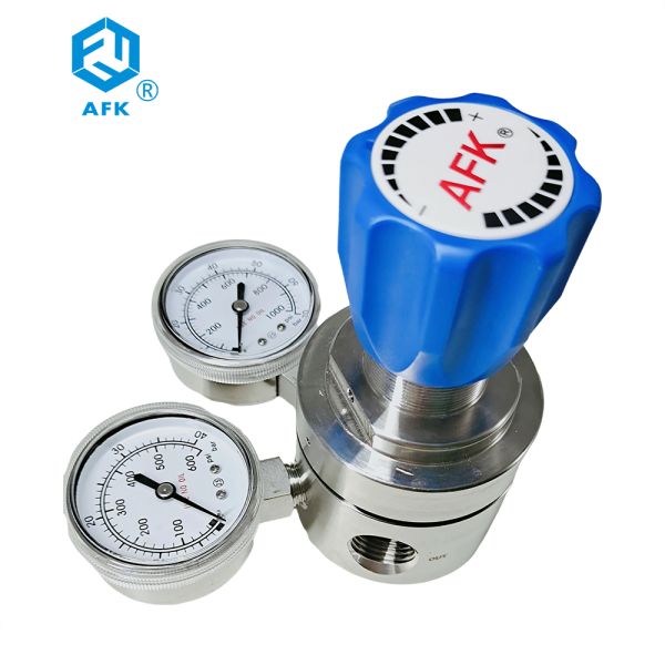 PCTFE PTFE Stainless Steel Pressure Regulator 1000PSI 600Psi Double Gauges