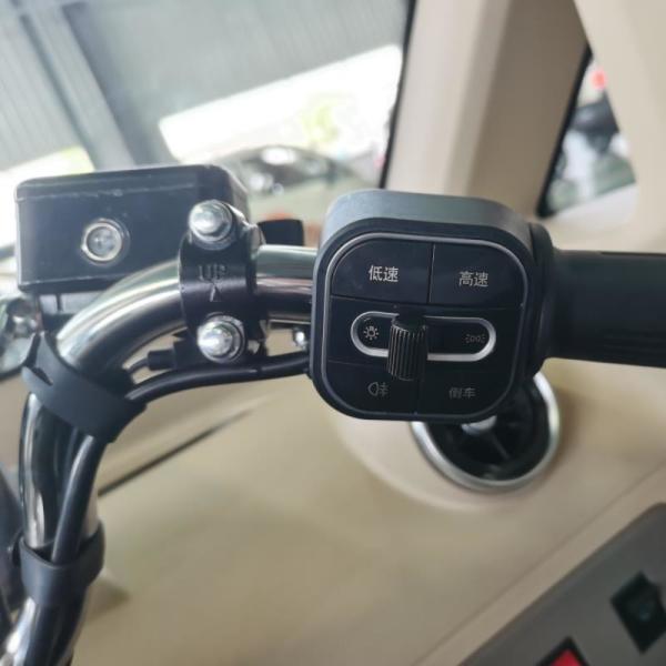 China top sales electric car eec certificate good quality 3 wheel electric bicycle