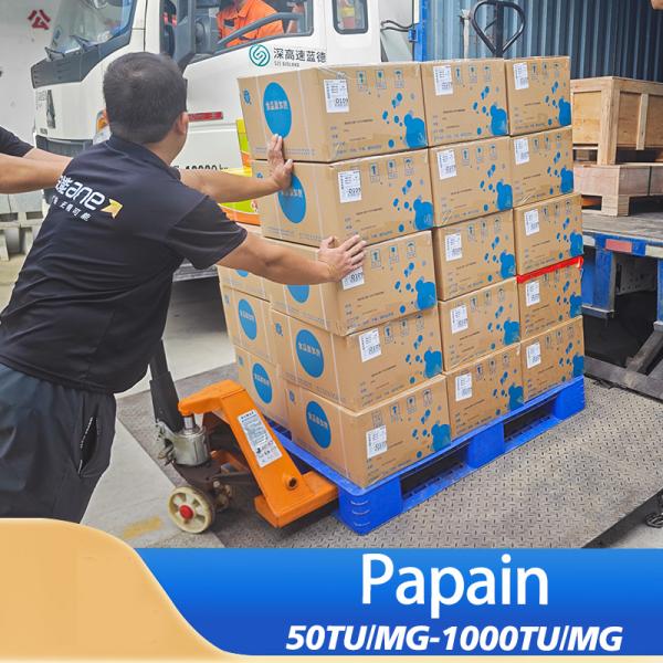 Proteasa de papaya 50TU/MG-1000TU/MG Fabricantes de proteasa productos personalizados grados de colonia