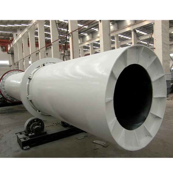 Stainless Steel Paddle Drum Industrial Rotary Dryer