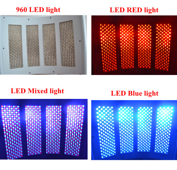 PDT1 Portable Facial Beauty Machine