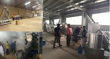 Электрическая машина для печенья собак мощностью 1500 кг из нержавеющей стали Производство пищи для домашних животных