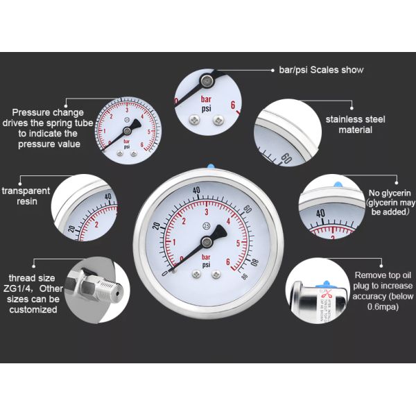 Back-Mounted 60mm Stainless Steel Bourdon Tube Pressure Gauge with Customized OEM Support