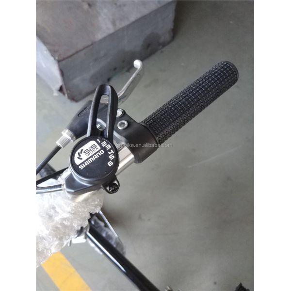 Folding Bicycle 20 Inch 7 Gear 6 Speed Hi Ten Steel Frame Aluminum Alloy Shimano Folding Bike 13KG