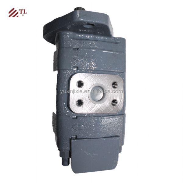 Hydraulic Double Internal Gear Pump 14561970 for Crawler Excavator EC460 Part Number